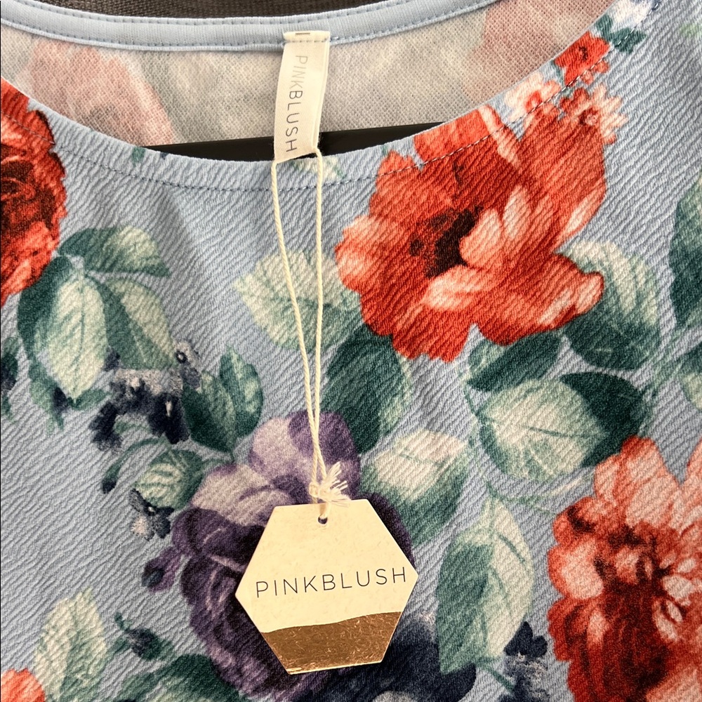 Pinkblush Light Blue Floral Short Sleeve Mini Dress with Red and Purple Blooms - Picture 2 of 3